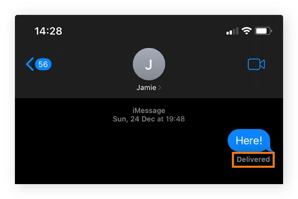 一条显示短信送达状态的iMessage示例。